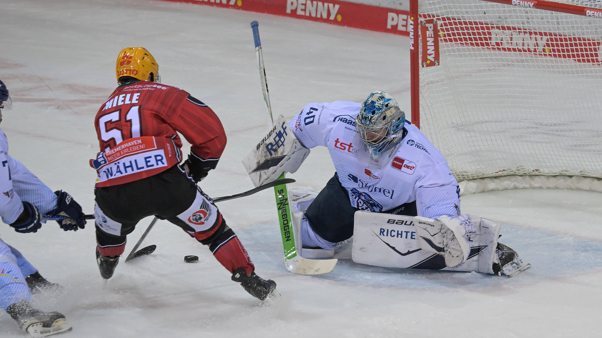 Pinguins Bremerhaven gg. Straubing Tigers